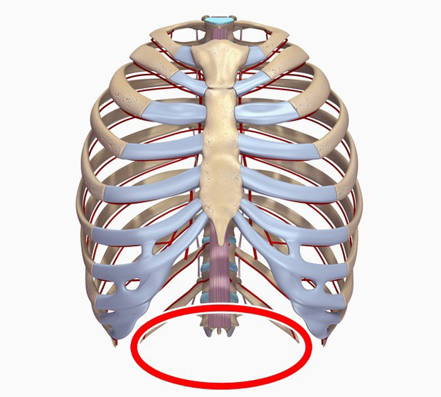 10 bộ phận cơ thể sẽ biến mất trong tương lai, cái số 4 ai nghe xong cũng mừng - Ảnh 8.