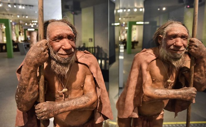 Nếu người Neanderthal không bị tuyệt chủng, thế giới sẽ ra sao?