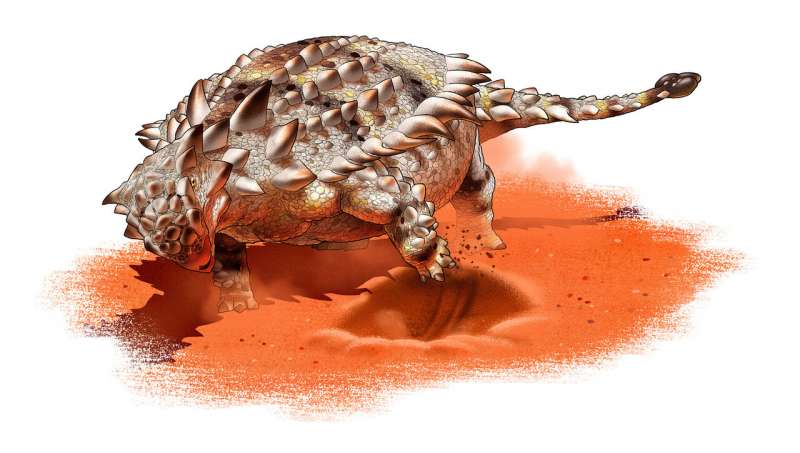 Giáp long đuôi chùy - Ankylosaurid có thể là một loài ưa thích đào bới - Ảnh 1. Giáp long đuôi chùy - Ankylosaurid có thể là một loài ưa thích đào bới - Ảnh 1.