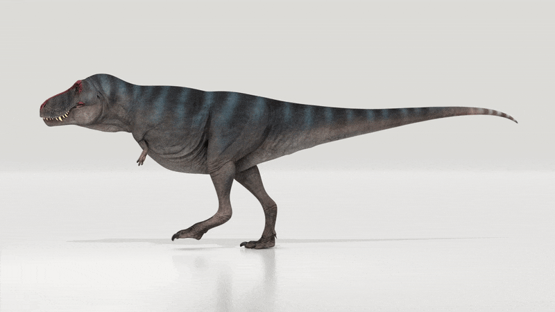 Bạn có thể không cần chạy nhanh hơn một chú T. rex - đi bộ nhanh hơn nó là đủ rồi - Ảnh 2. Bạn có thể không cần chạy nhanh hơn một chú T. rex - đi bộ nhanh hơn nó là đủ rồi - Ảnh 2.