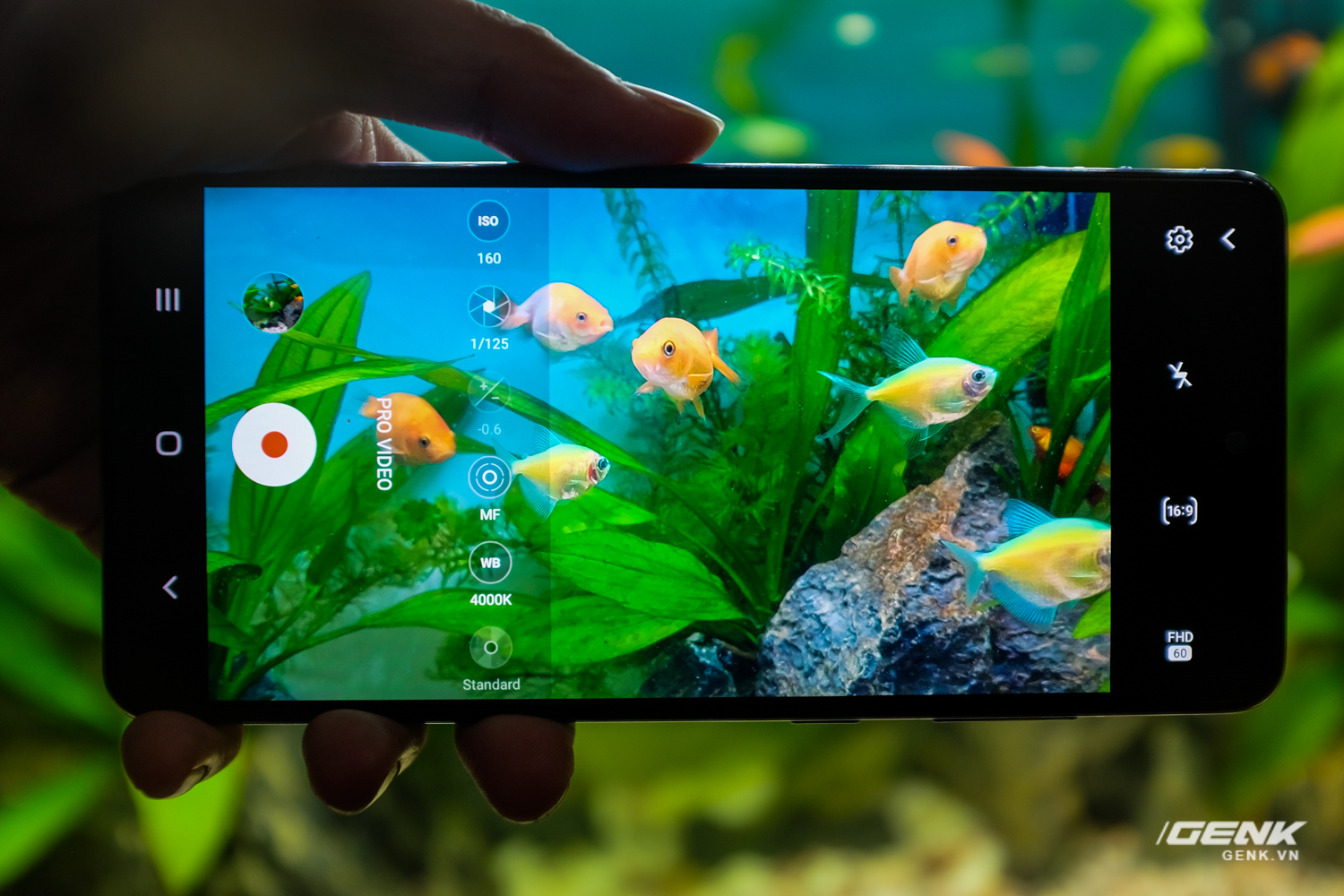 Thử khả năng kháng nước của Galaxy A72 với buổi chụp hình trong bể cá cảnh - Ảnh 3.