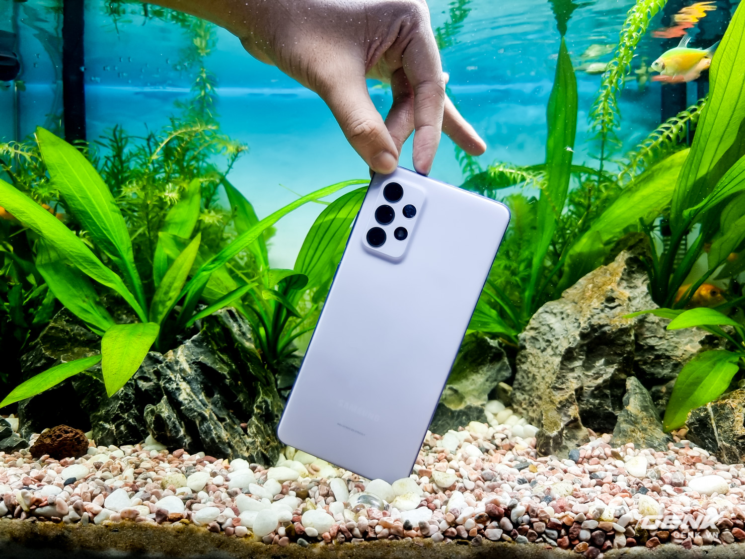 Thử khả năng kháng nước của Galaxy A72 với buổi chụp hình trong bể cá cảnh - Ảnh 2.