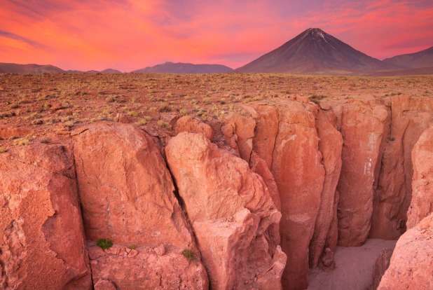 Bí ẩn xác ướp của những con vẹt rừng nhiệt đới bên dưới sa mạc Atacama - Ảnh 1. Bí ẩn xác ướp của những con vẹt rừng nhiệt đới bên dưới sa mạc Atacama - Ảnh 1.