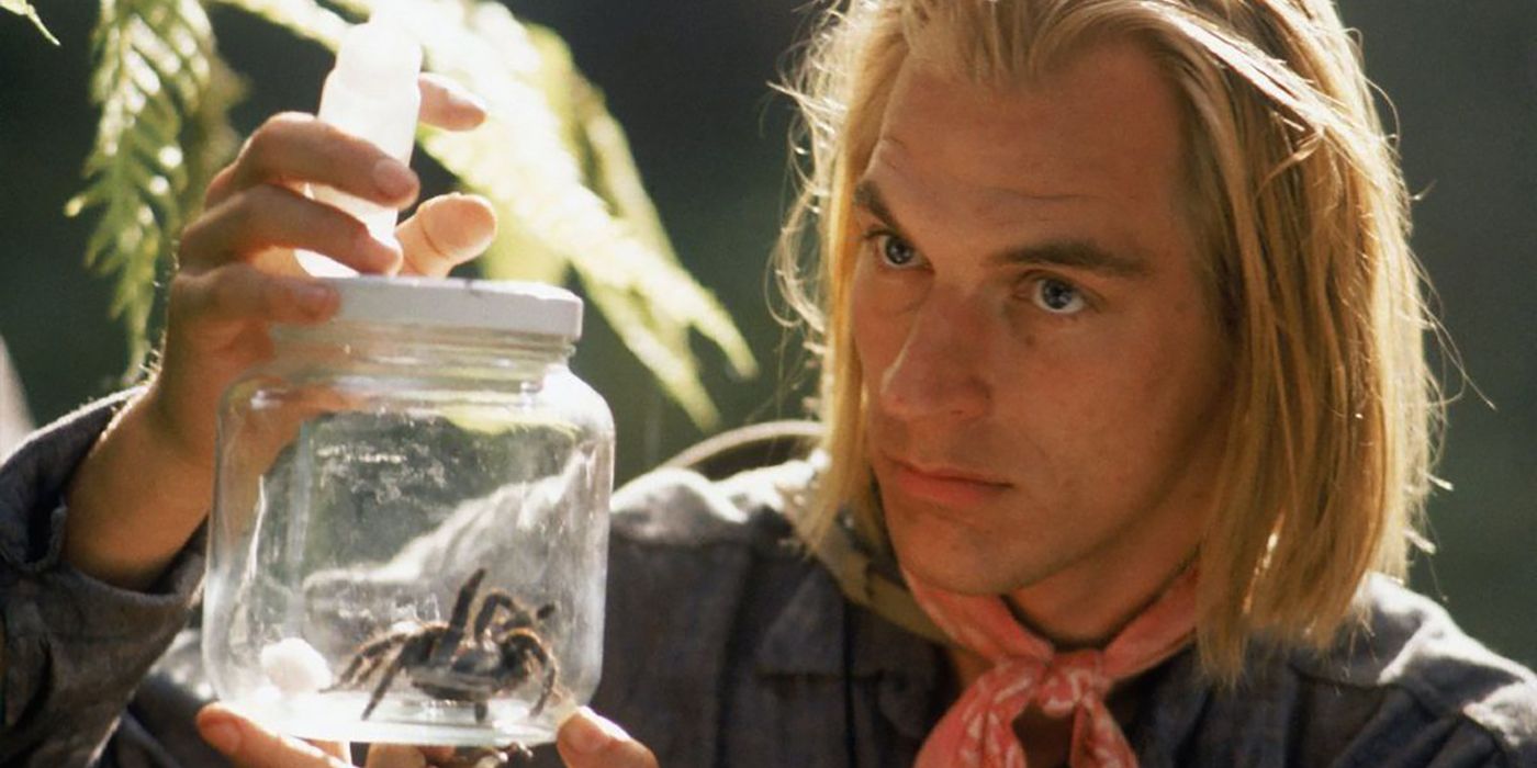 Cứ gặp nhện là đánh – Liệu chúng ta có nên giết những con nhện nhà hay không? - Ảnh 6. Cứ gặp nhện là đánh – Liệu chúng ta có nên giết những con nhện nhà hay không? - Ảnh 6.