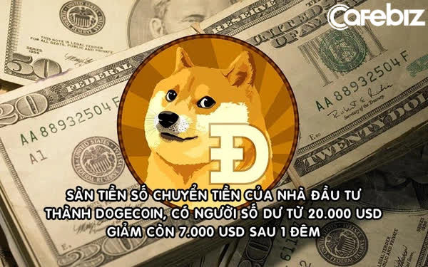 Sàn tiền số ngang nhiên chuyển toàn bộ tiền của nhà đầu tư thành Dogecoin, có người số dư giảm từ 20.000 USD xuống còn 7.000 USD sau 1 đêm - Ảnh 1.