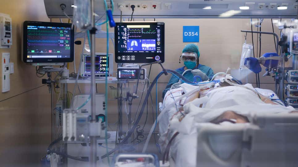 Nghiên cứu mới cho thấy động vật có vú có thể thở bằng đoạn ruột gần mông - Ảnh 2. Nghiên cứu mới cho thấy động vật có vú có thể thở bằng đoạn ruột gần mông - Ảnh 2.