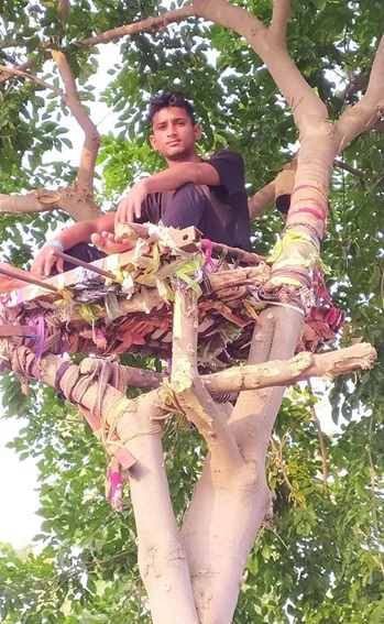 Ấn Độ: Nhiều bệnh nhân Covid-19 tự cách ly hàng chục ngày trên cây như trong phim Tarzan - Ảnh 2.