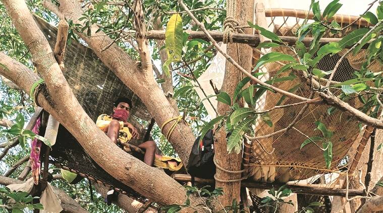 Ấn Độ: Nhiều bệnh nhân Covid-19 tự cách ly hàng chục ngày trên cây như trong phim Tarzan - Ảnh 4. Ấn Độ: Nhiều bệnh nhân Covid-19 tự cách ly hàng chục ngày trên cây như trong phim Tarzan - Ảnh 4.