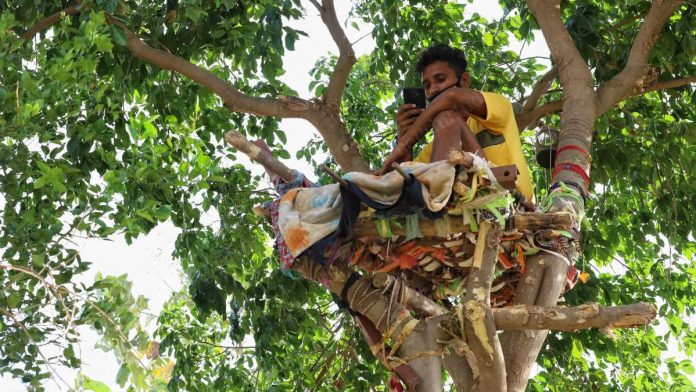 Ấn Độ: Nhiều bệnh nhân Covid-19 tự cách ly hàng chục ngày trên cây như trong phim Tarzan - Ảnh 1. Ấn Độ: Nhiều bệnh nhân Covid-19 tự cách ly hàng chục ngày trên cây như trong phim Tarzan - Ảnh 1.