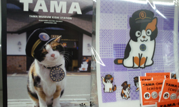  Chỉ nhờ một cô mèo hoang, công ty Nhật Bản lãi to 280 tỷ, thoát khỏi cảnh phá sản trong gang tấc - Ảnh 11.