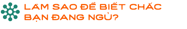 Gián có nằm ngửa khi ngủ không và hành trình đi tìm giấc ngủ nguyên sơ nhất lịch sử Trái Đất - Ảnh 2. Gián có nằm ngửa khi ngủ không và hành trình đi tìm giấc ngủ nguyên sơ nhất lịch sử Trái Đất - Ảnh 2.