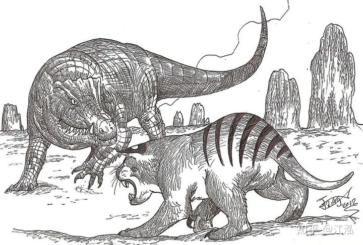 Ph&aacute;t hiện lo&agrave;i c&aacute; sấu cổ đại tại Australia c&oacute; khả năng chạy nhanh tr&ecirc;n cạn c&aacute;ch đ&acirc;y 40.000 năm - Ảnh 7.