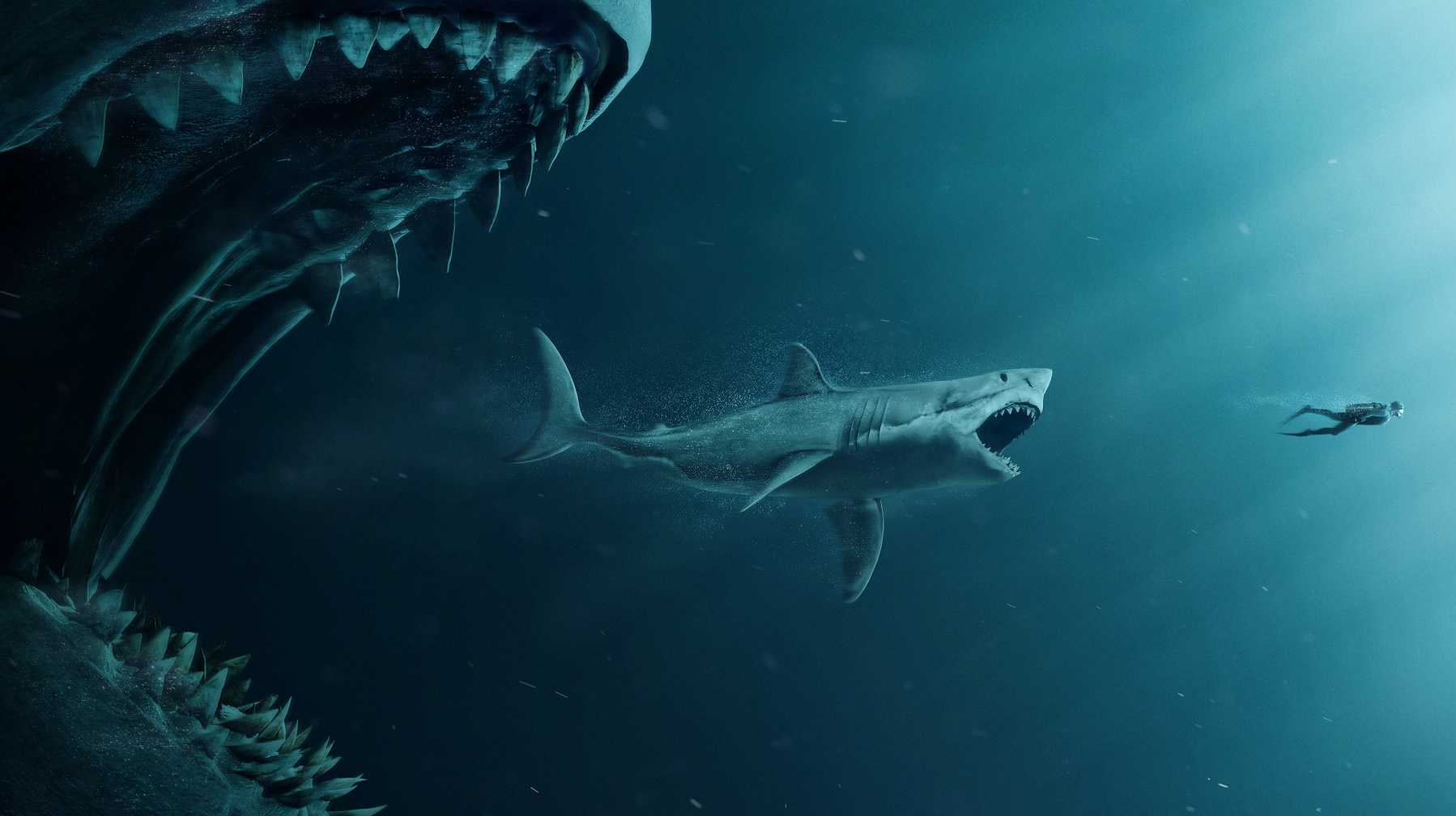 Lẽ nào siêu cá mập Megalodon vẫn đang còn sống dưới đại dương sâu thẳm? - Ảnh 9.