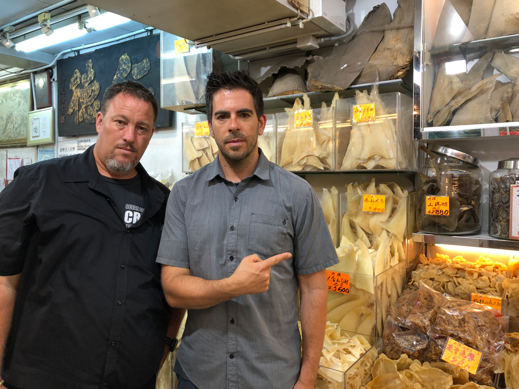 Kẻ săn mồi trở th&agrave;nh con mồi: H&agrave;ng trăm triệu con c&aacute; mập đối mặt với c&aacute;c chuyến đi săn đẫm m&aacute;u của con người mỗi năm - Ảnh 5.