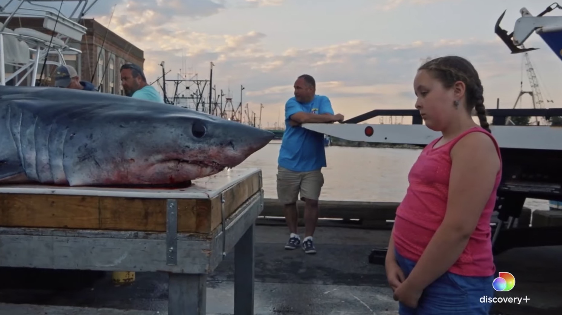 Kẻ săn mồi trở th&agrave;nh con mồi: H&agrave;ng trăm triệu con c&aacute; mập đối mặt với c&aacute;c chuyến đi săn đẫm m&aacute;u của con người mỗi năm - Ảnh 7.