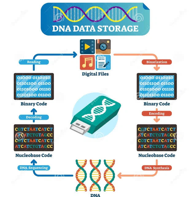 Nhóm nghiên cứu MIT phát triển thành công kỹ thuật lưu trữ và truy xuất dữ liệu DNA tiên tiến, cách làm tương tự Google Search - Ảnh 4.