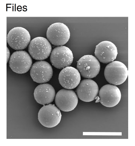 Nhóm nghiên cứu MIT phát triển thành công kỹ thuật lưu trữ và truy xuất dữ liệu DNA tiên tiến, cách làm tương tự Google Search - Ảnh 5.