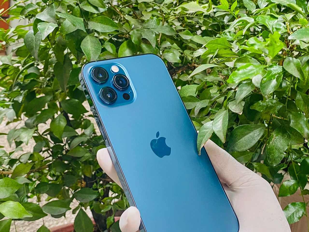 C&oacute; 44 triệu, kh&ocirc;ng đặt gạch Galaxy Z Fold 3 th&igrave; mua được những g&igrave;? - Ảnh 6.