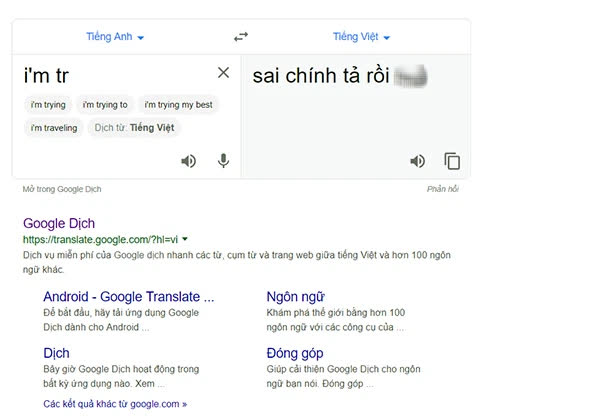 Từ nghi vấn Google Dịch bị hacker Việt tấn công đến hành động đáng lên án của nhiều người dùng Internet - Ảnh 2.