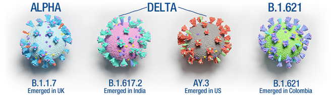 Biến thể Delta chưa phải là trùm cuối của đại dịch, đây là cách mà nó còn có thể tiến hóa - Ảnh 2.