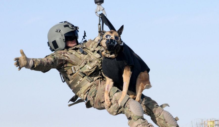 American Humane: Những con chó phục vụ bị quân đội Mỹ bỏ lại ở Afghanistan sẽ phải chịu số phận tệ hơn cái chết - Ảnh 3. American Humane: Những con chó phục vụ bị quân đội Mỹ bỏ lại ở Afghanistan sẽ phải chịu số phận tệ hơn cái chết - Ảnh 3.