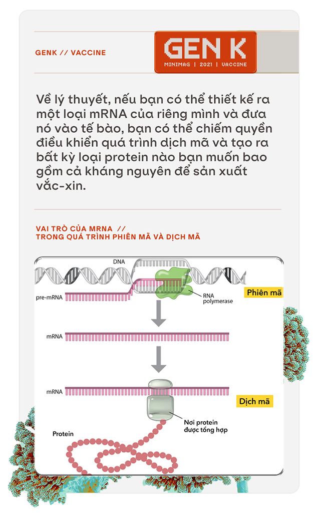 Sau COVID-19, công nghệ vắc-xin mRNA sẽ giúp chúng ta chữa khỏi bệnh ung thư - Ảnh 3. Sau COVID-19, công nghệ vắc-xin mRNA sẽ giúp chúng ta chữa khỏi bệnh ung thư - Ảnh 3.