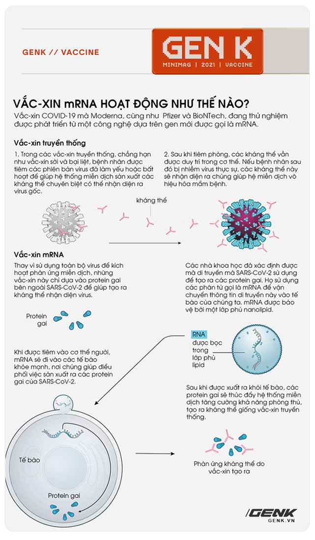 Sau COVID-19, công nghệ vắc-xin mRNA sẽ giúp chúng ta chữa khỏi bệnh ung thư - Ảnh 4. Sau COVID-19, công nghệ vắc-xin mRNA sẽ giúp chúng ta chữa khỏi bệnh ung thư - Ảnh 4.