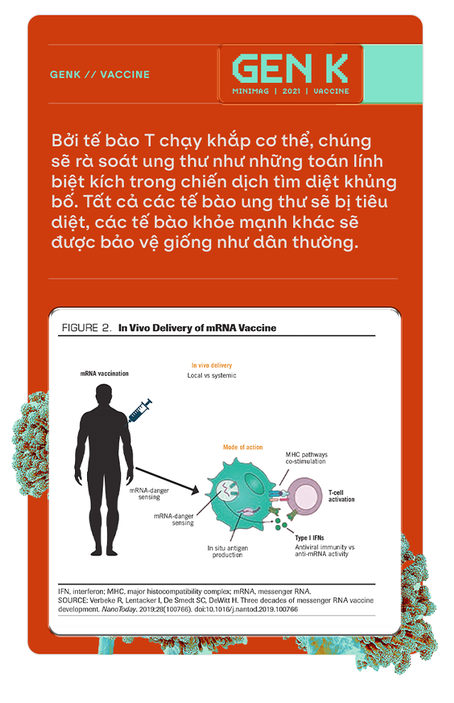 Sau COVID-19, công nghệ vắc-xin mRNA sẽ giúp chúng ta chữa khỏi bệnh ung thư - Ảnh 7. Sau COVID-19, công nghệ vắc-xin mRNA sẽ giúp chúng ta chữa khỏi bệnh ung thư - Ảnh 7.