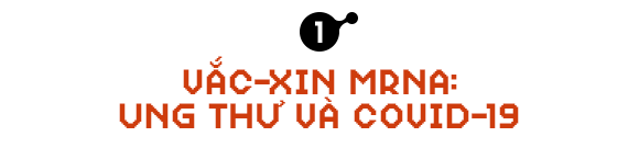 Sau COVID-19, công nghệ vắc-xin mRNA sẽ giúp chúng ta chữa khỏi bệnh ung thư - Ảnh 2. Sau COVID-19, công nghệ vắc-xin mRNA sẽ giúp chúng ta chữa khỏi bệnh ung thư - Ảnh 2.