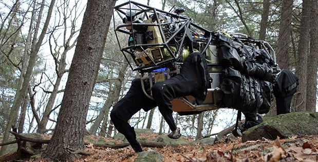 Con sóc trở thành hình mẫu để Quân đội Mỹ học hỏi nhằm thiết kế robot trong tương lai - Ảnh 5.