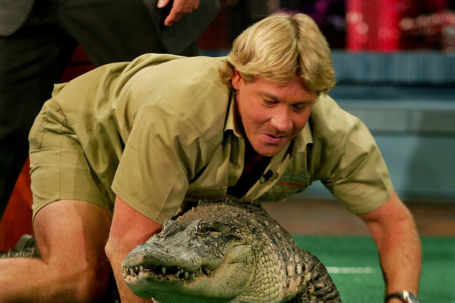  Cái chết nghiệt ngã của thợ săn cá sấu Steve Irwin: Nhà động vật học hàng đầu thế giới và câu chuyện sinh nghề tử nghiệp - Ảnh 1.