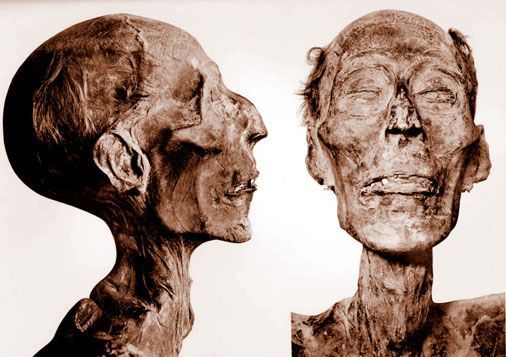 Trí tuệ nhân tạo giúp phục dựng thành công khuôn mặt của pharaoh Ai Cập từ xác ướp - Ảnh 2.