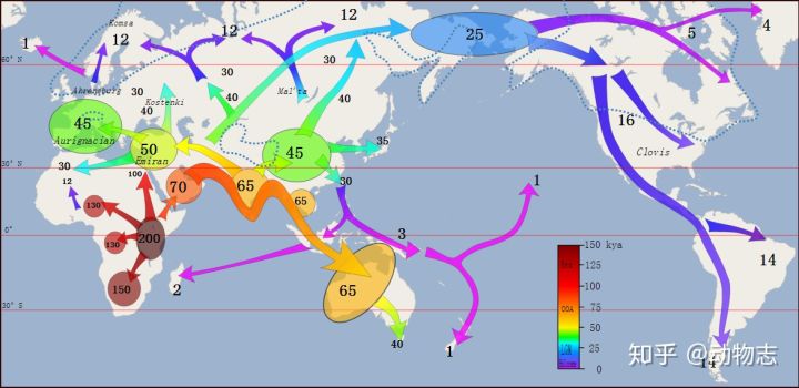 Neanderthals had larger brains than Homo sapiens, so how did Homo sapiens beat them?  - Photo 4.