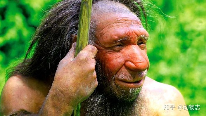 Neanderthals had larger brains than Homo sapiens, so how did Homo sapiens beat them?  - Photo 6.