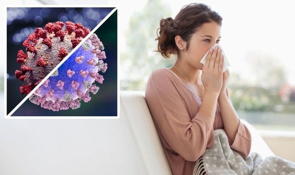  Người đầu tiên nhiễm cúm và COVID cùng lúc: Liệu 2 virus này có khắc chế nhau?  - Ảnh 3.