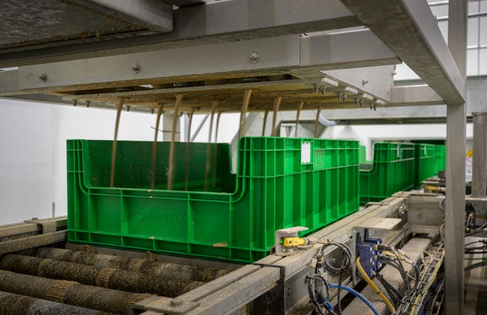 Inside a high-tech farm that specializes in raising fly larvae for protein - Photo 7.