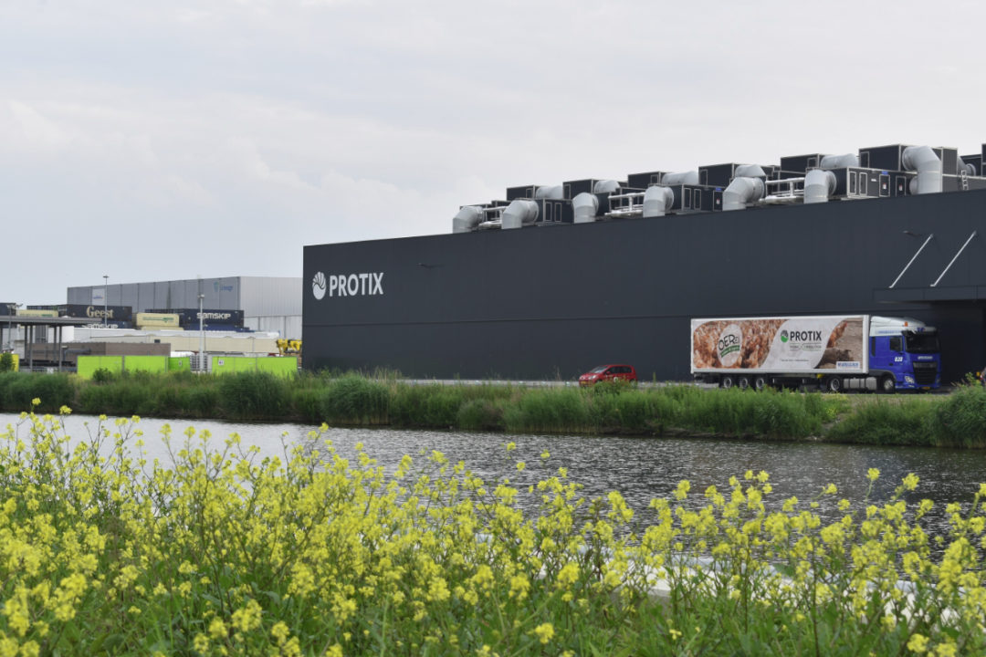 Inside a high-tech farm that specializes in raising fly larvae for protein - Photo 1.