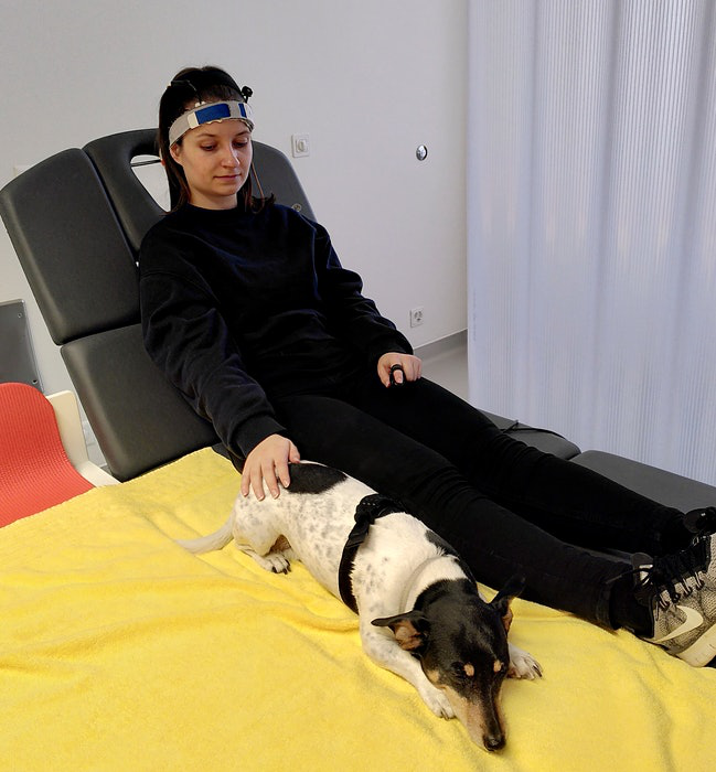 Nghiên cứu mới cho thấy việc cưng nựng một chú chó có tác dụng chữa bệnh tuyệt vời đối với bộ não - Ảnh 1.