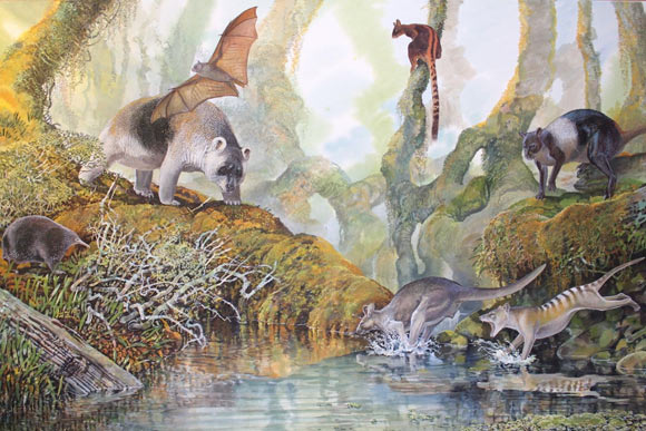 Một số loài Megafaunal đã tồn tại ở New Guinea cho đến 20.000 năm trước - Ảnh 1.