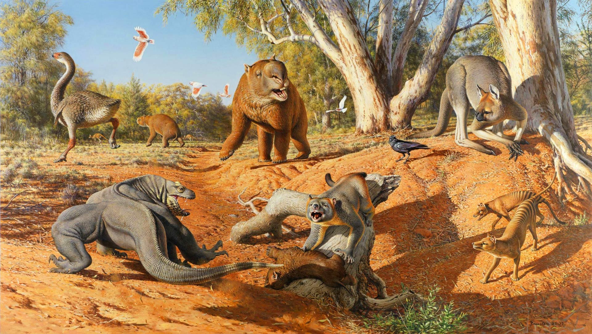 Một số loài Megafaunal đã tồn tại ở New Guinea cho đến 20.000 năm trước - Ảnh 2.
