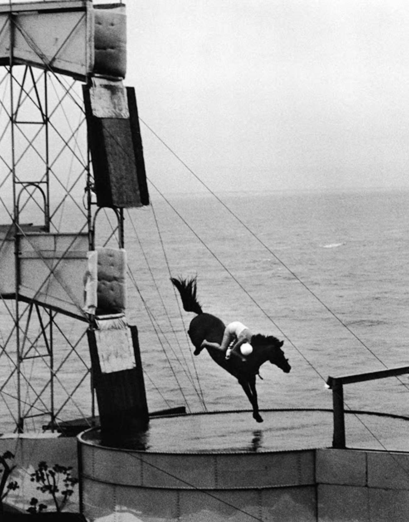 Ngựa lặn: Một trong những môn thể thao nguy hiểm nhất hành tinh những năm 1900-1970 - Ảnh 6.