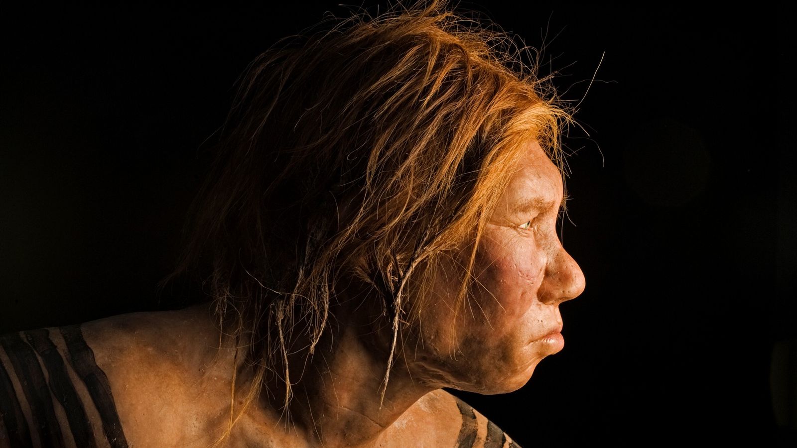 Nghiên cứu mới cho thấy người hiện đại và người Neanderthal đã có thời gian &quot;vay mượn công nghệ&quot; của nhau để cùng tồn tại - Ảnh 1.