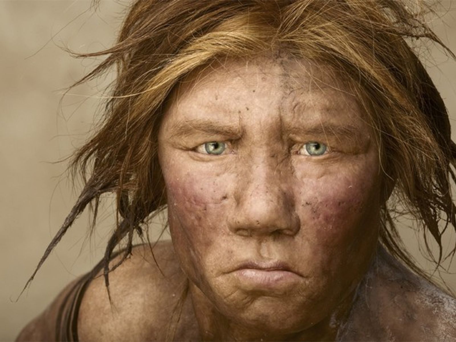 Nghiên cứu mới cho thấy người hiện đại và người Neanderthal đã có thời gian &quot;vay mượn công nghệ&quot; của nhau để cùng tồn tại - Ảnh 3.