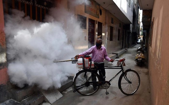 'Vấn nạn' muỗi ở Ấn Độ - Ảnh 3.