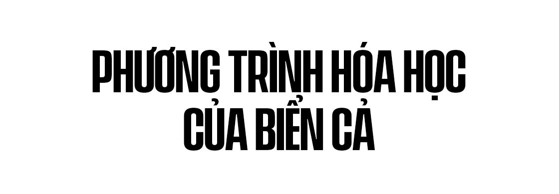 Biển hấp thụ 22 triệu tấn CO2 mỗi ngày, chúng đang làm tan vỏ hàu, tẩy trắng san hô và khiến cả đại dương axit hóa - Ảnh 10.