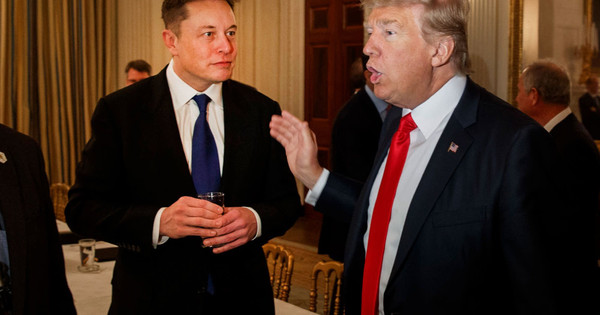 Elon Musk sa thải 1 loạt lãnh đạo cấp cao sau khi tiếp quản Twitter; tài khoản của ông Trump vẫn chưa được khôi phục - Ảnh 1.