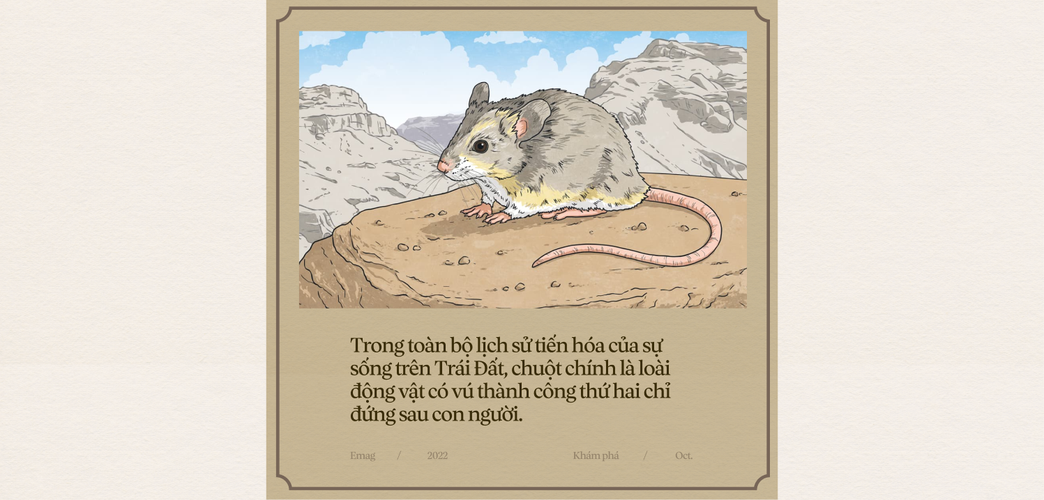 Chuyện của loài chuột: Từ kẻ bám chân vĩ đại đến đồng minh khoa học của loài người - Ảnh 15.