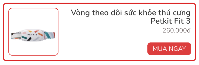 Dùng thử vòng theo dõi sức khỏe thú cưng Petkit Fit 3: Rẻ, đẹp, pin siêu bền - Ảnh 9.