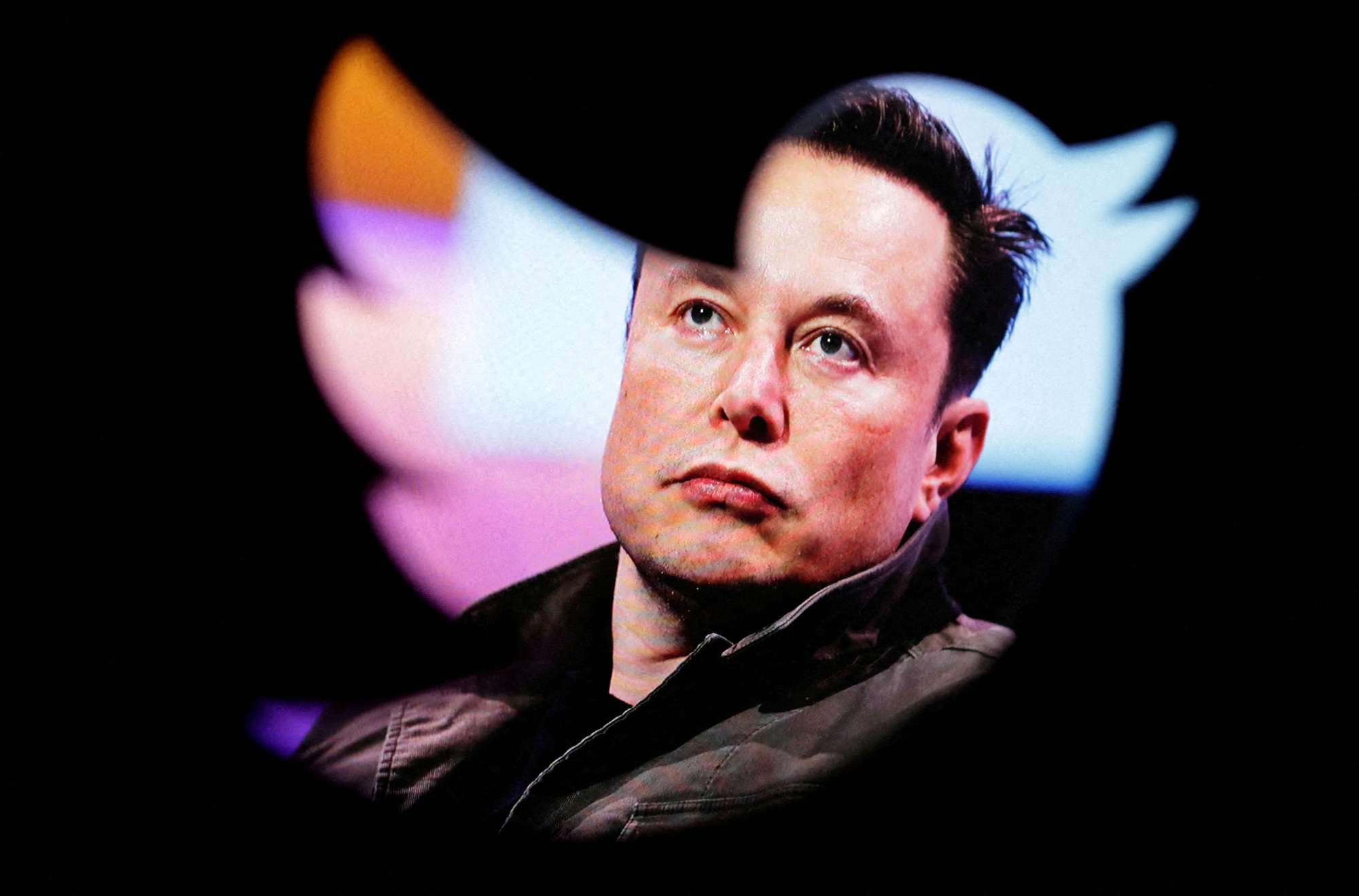 Elon Musk điều hành 5 công ty cùng lúc, gồm Twitter - Ảnh 1.