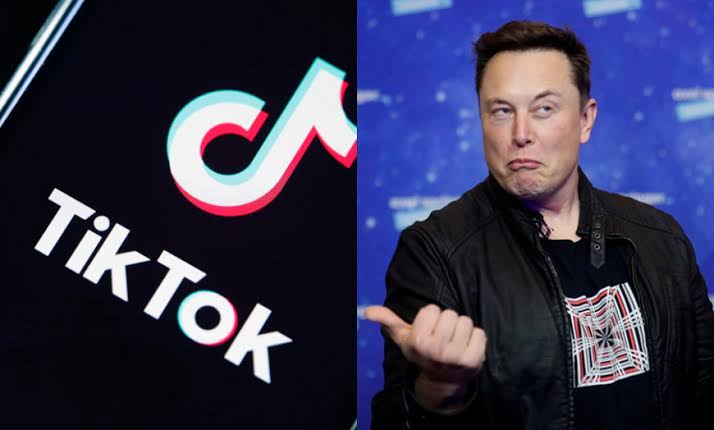 Elon Musk sẽ dùng Twitter để đại chiến... Tiktok? - Ảnh 2.